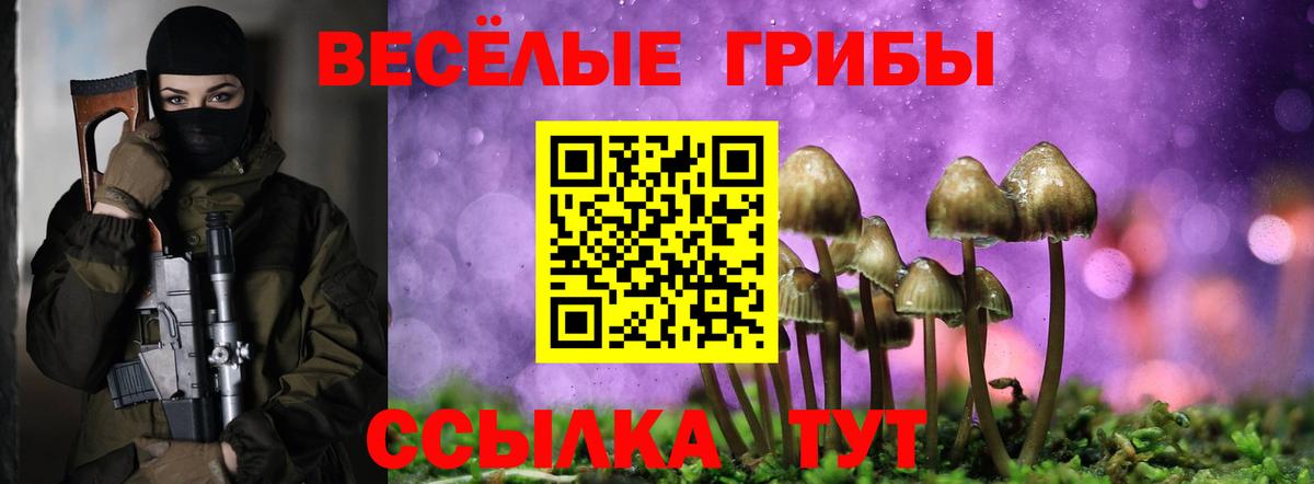 Галлюциногенные грибы мицелий  Вход с VPN  Лосино-Петровский 